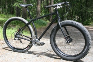 Read more about the article black bike