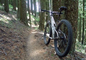 Read more about the article Mountain Bike Oregon road trip