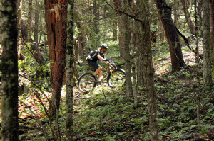 Read more about the article A ride in the woods